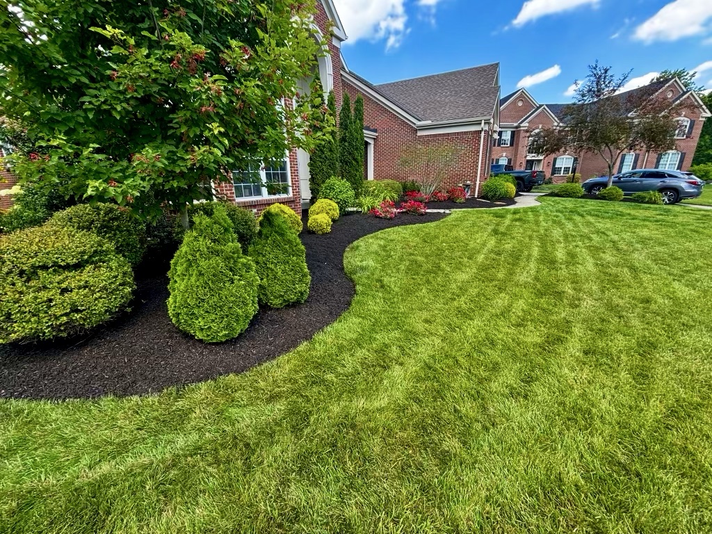 Fresh black mulch around shrubs and a manicured lawn