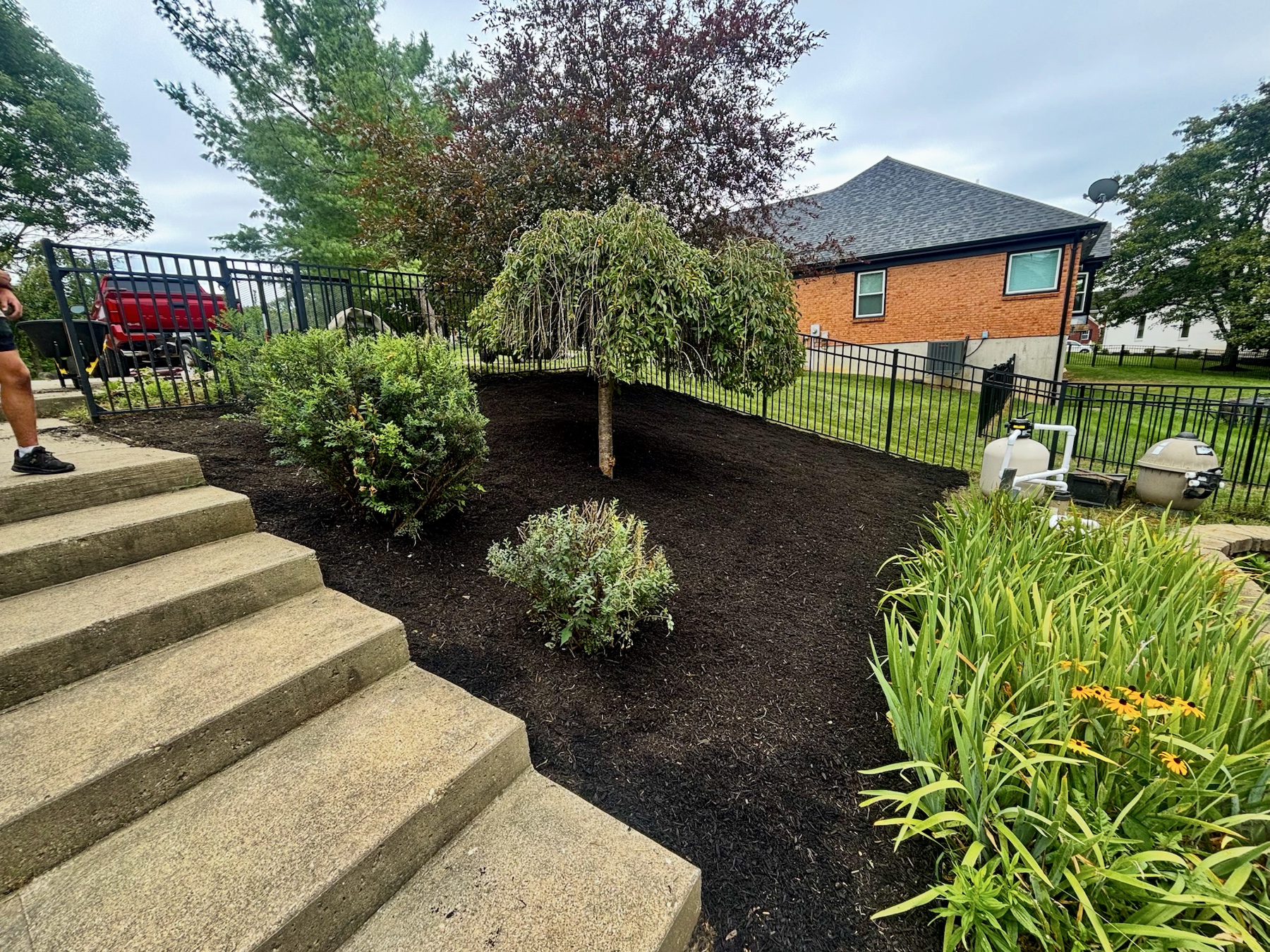 Large backyard garden bed with fresh dark mulch